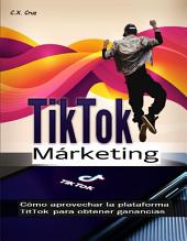 Marketing de TikTok: Cómo aprovechar la plataforma TitTok para obtener ganancias